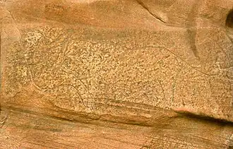 Ben Srour, homme attaqué par un lion.