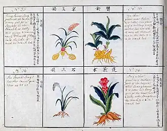 Image illustrative de l’article Histoire des pharmacopées chinoises