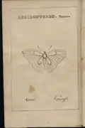 Illustration de l'Introduction à l'histoire naturelle des insectes.