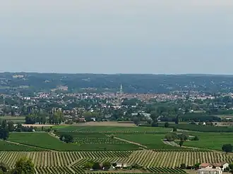 Image illustrative de l’article Bergerac (AOC)