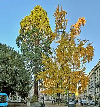 Image illustrative de l’article Square Saint-Amour