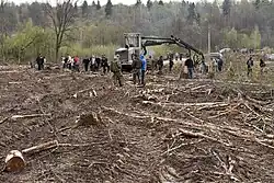 rassemblement dans une forêt coupée à blanc