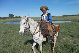 Cavalier gaucho brésilien âgé.