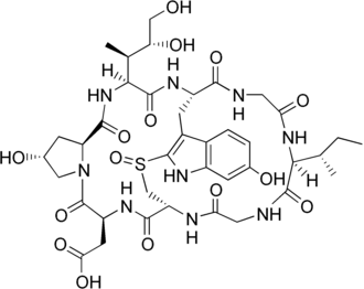 Image illustrative de l’article Bêta-Amanitine