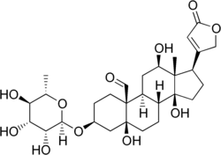 Image illustrative de l’article Antiarine