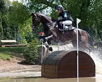 Image illustrative de l’article Bettina Hoy