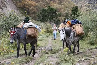 Image illustrative de l’article Cheval au Bhoutan