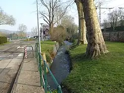 Bièvre près de l'entrée du domaine de l'INRA.