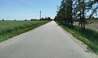 Bielawy (Strzałkowo)