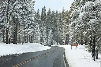 Image illustrative de l’article Big Oak Flat Road