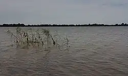 Les Loosdrechtse Plassen près Oud-Loosdrecht
