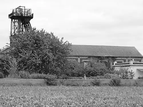 Vue générale de la fosse depuis le côté ouest.