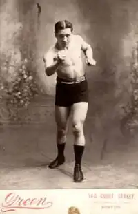 Image illustrative de l’article Honey Mellody