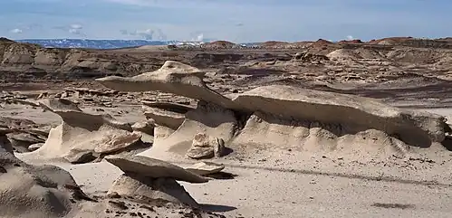 Bisti/De-Na-Zin Wilderness : cheminées de fée et rochers-champignons.