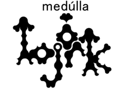 Description de l'image Björk -Medúlla Logo.png.