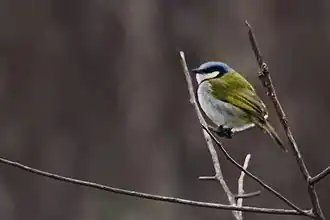 Description de cette image, également commentée ci-après