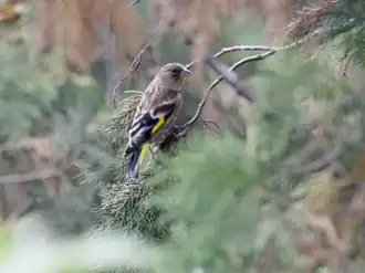 Description de cette image, également commentée ci-après