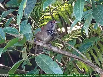 Description de cette image, également commentée ci-après