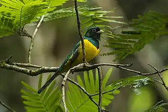 Description de cette image, également commentée ci-après