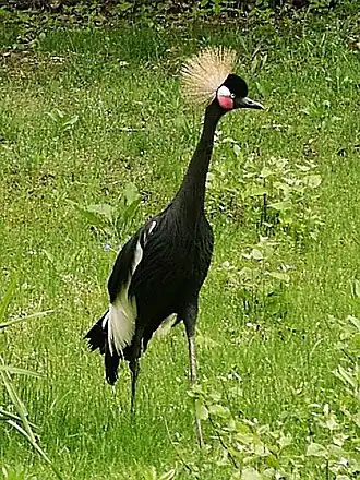 Description de cette image, également commentée ci-après