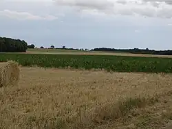 Cultures à proximité de Mérigny