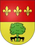 Blason
