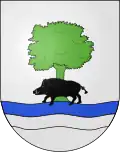 Blason