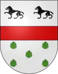 Blason