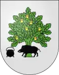 Blason