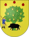 Blason