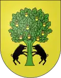 Blason