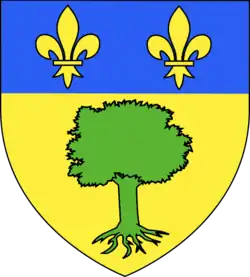 Image illustrative de l’article Famille de Boisset