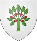 Blason