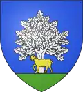 Blason