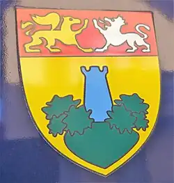 blason de La Tour de Salvagny