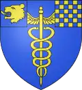 D'azur au caducée d'or, au franc-canton d'azur à une tête de lion arrachée d'or, qui est des comtes ministres et au canton senestre du chef échiqueté d'or et d'azur, qui est des comtes conseillers d'état.