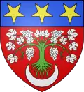 Blason de Aigne