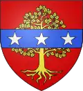 Blason de Bois-d'Oingt