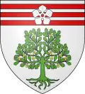 Blason de Gué-d'Hossus