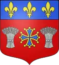 Blason de Montjoi