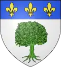 Blason de Montréjeau