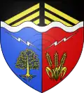 Blason de Noiseau