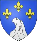 Blason de Roquecourbe