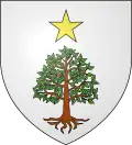 Blason de Saint-Héand