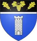 Blason de Villespassans