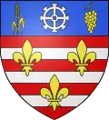 Blason de Suèvres