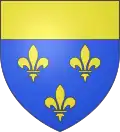 Blason de Estaing