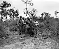 Blessés américains dans le bocage de Bloody Hill (guerre des Haies, Archives B.N).