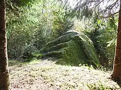 Bloc de Saussure ou de la Follieuse dans les Voirons à Lucinges (Haute-Savoie).