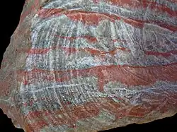 Potasse (Staffelfelden)